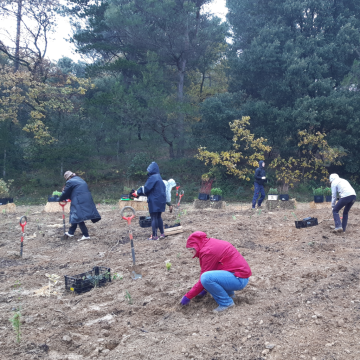 Plantations sous la pluie en décembre 2022